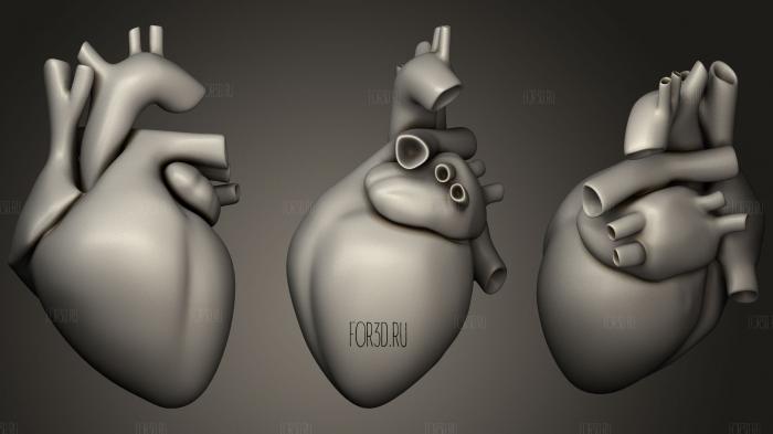 Human heart full stl model for CNC
